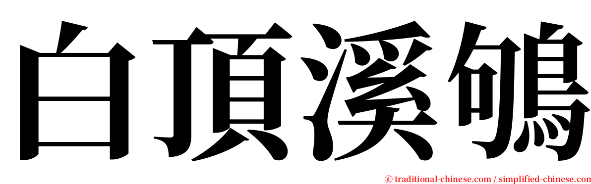 白頂溪鴝 serif font