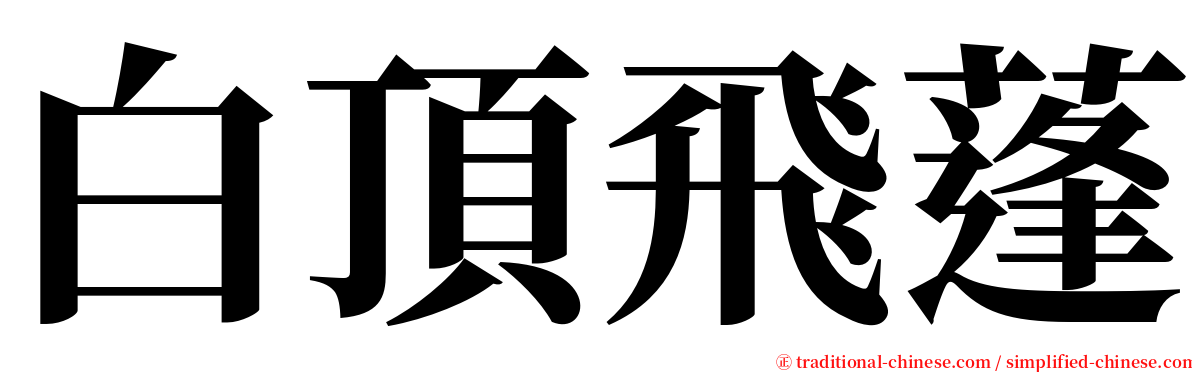 白頂飛蓬 serif font