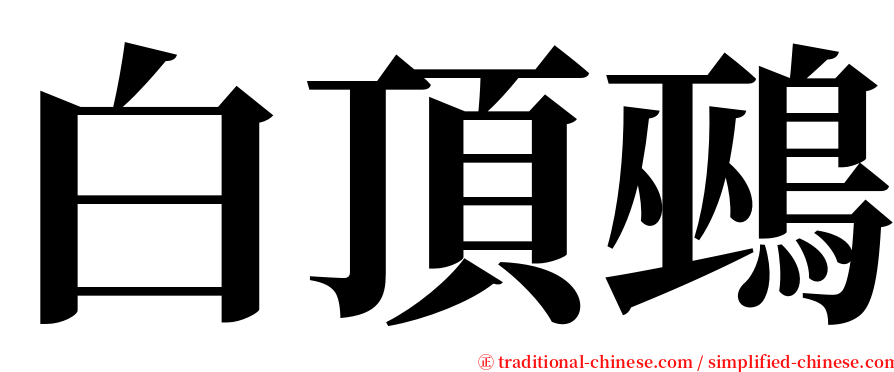 白頂鵐 serif font