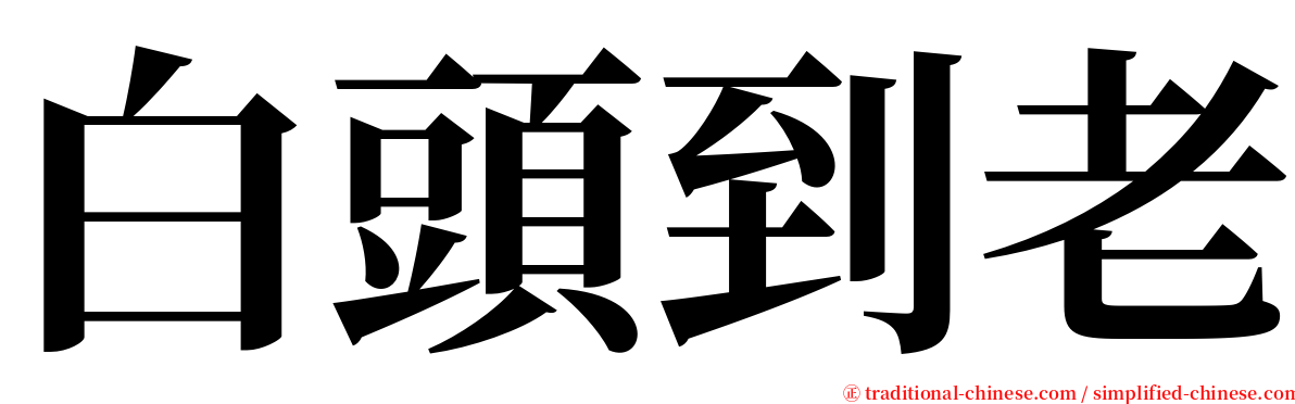 白頭到老 serif font