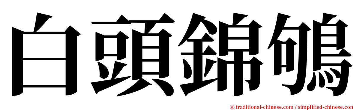 白頭錦鴝 serif font