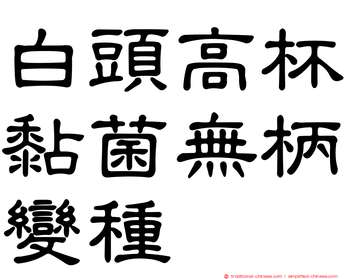 白頭高杯黏菌無柄變種