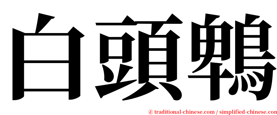 白頭鵯 serif font