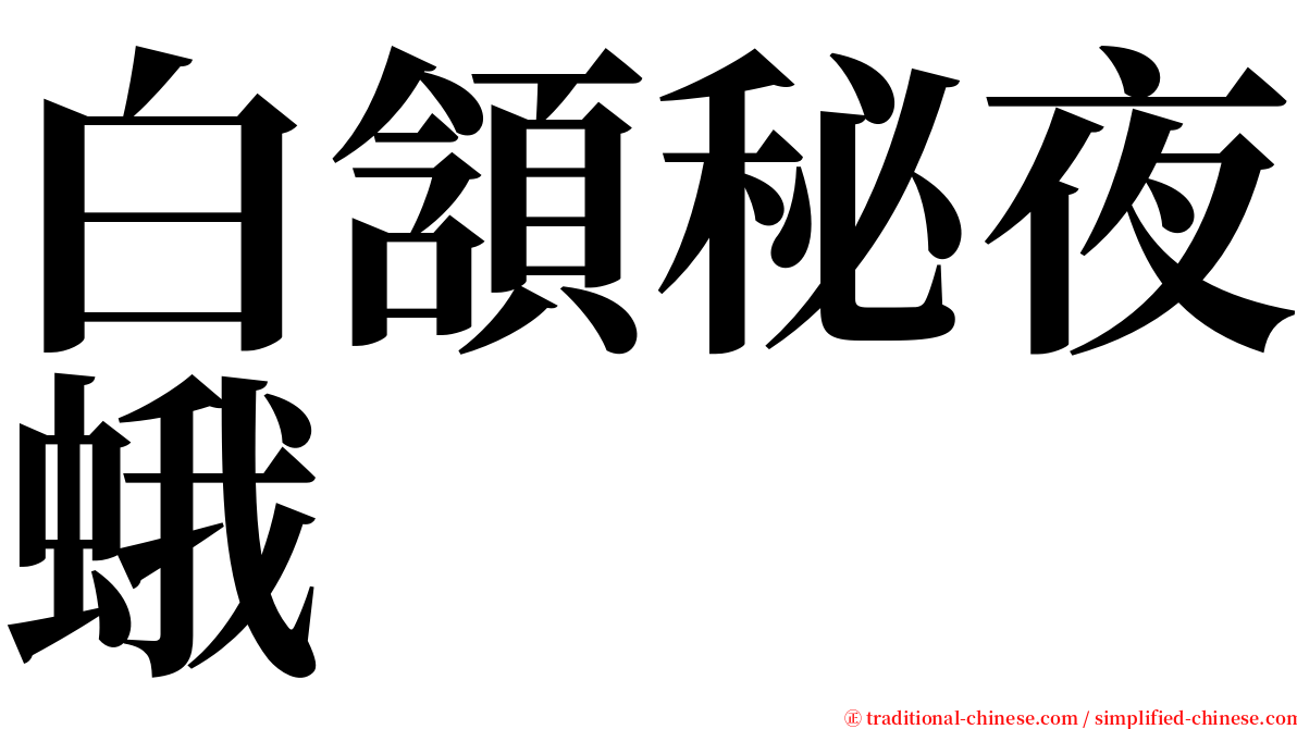 白頷秘夜蛾 serif font