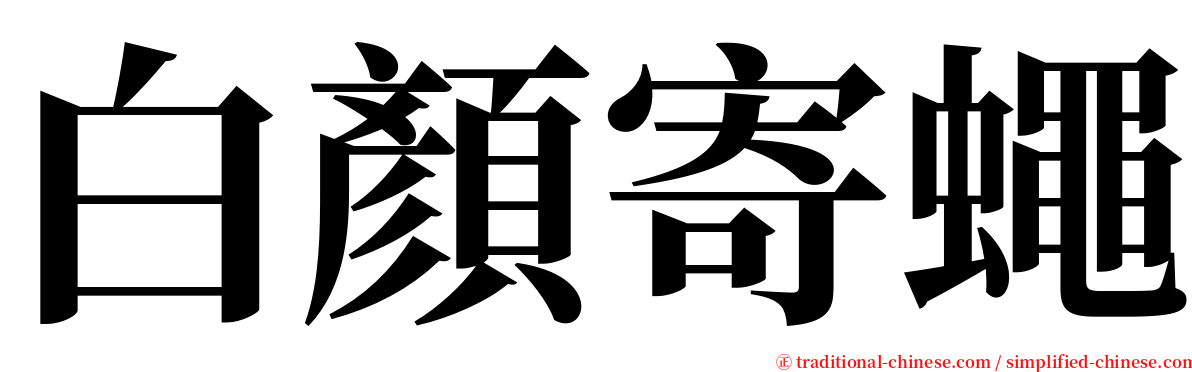 白顏寄蠅 serif font