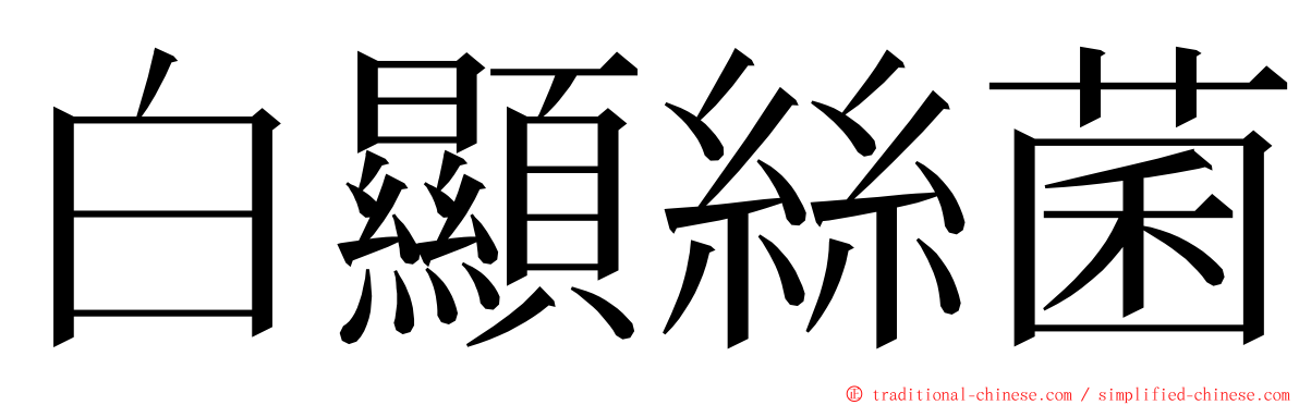 白顯絲菌 ming font