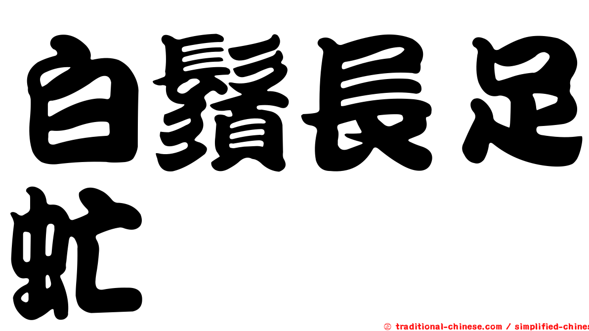 白鬚長足虻