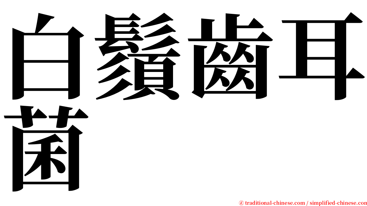 白鬚齒耳菌 serif font