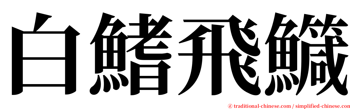 白鰭飛鱵 serif font