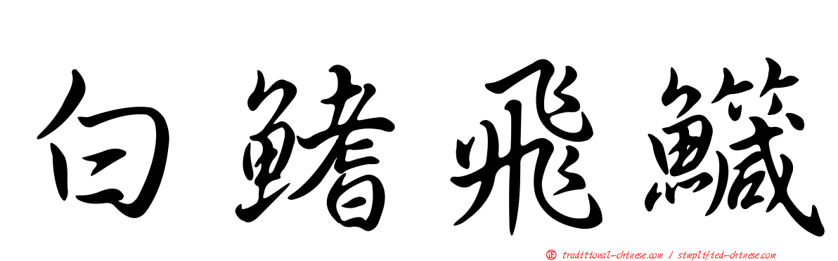 白鰭飛鱵