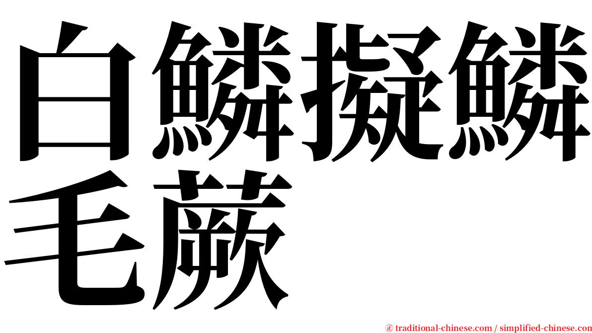 白鱗擬鱗毛蕨 serif font