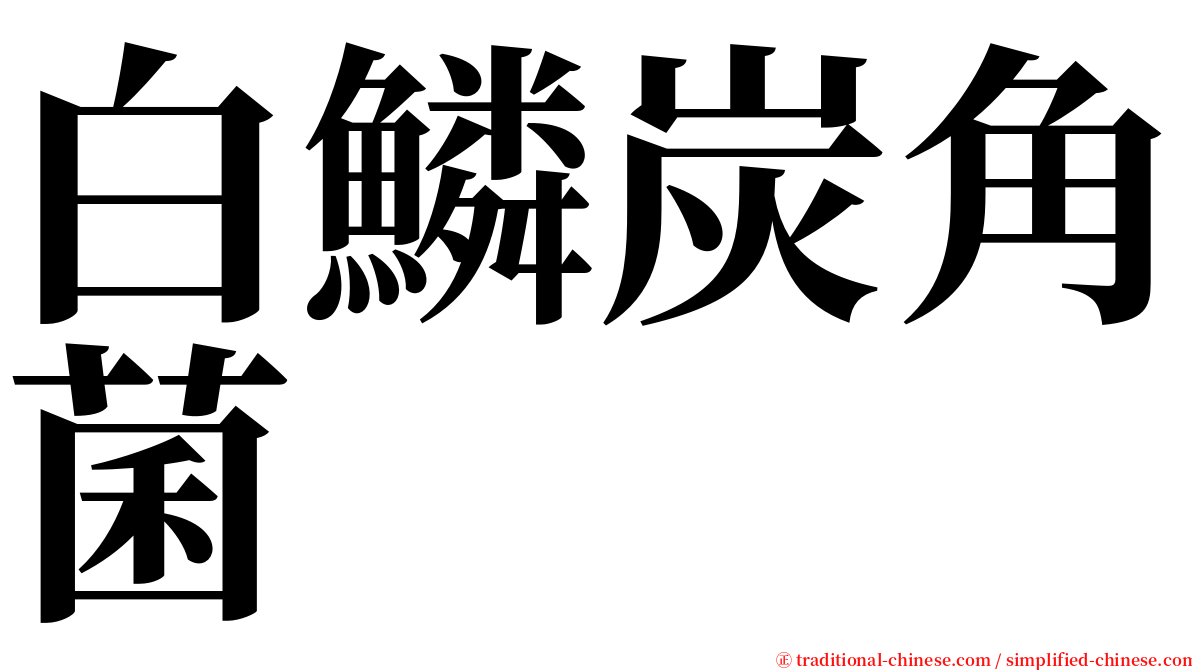 白鱗炭角菌 serif font