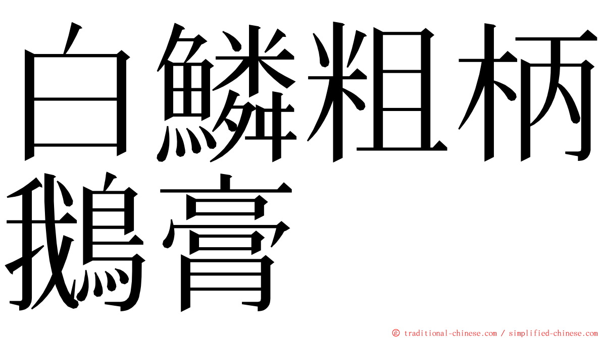 白鱗粗柄鵝膏 ming font