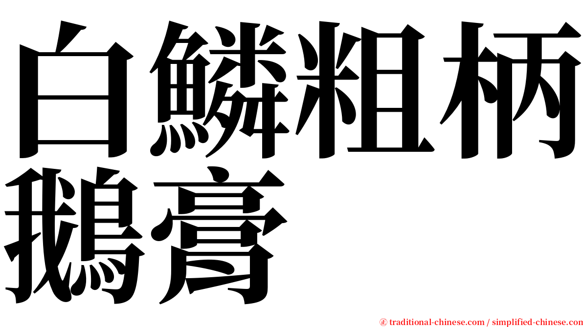 白鱗粗柄鵝膏 serif font