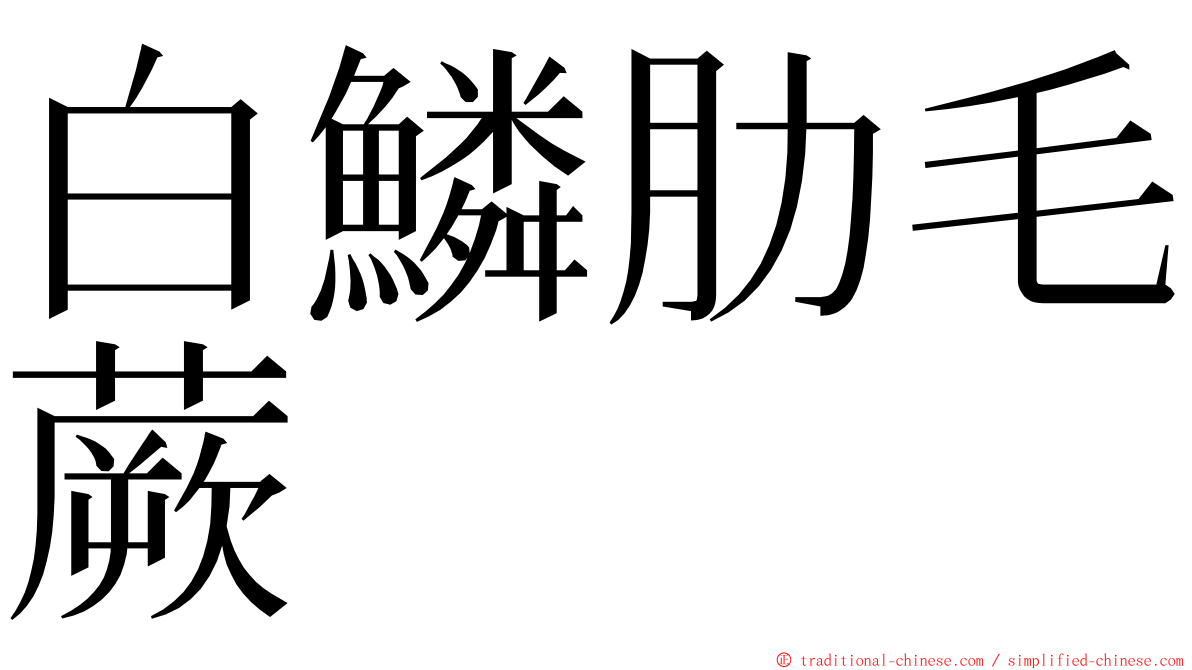 白鱗肋毛蕨 ming font