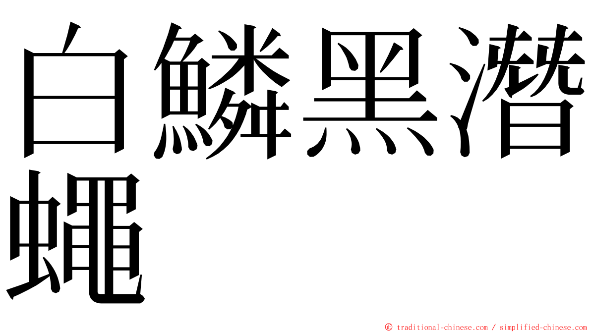 白鱗黑潛蠅 ming font