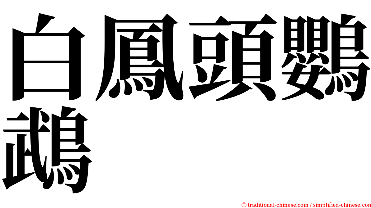 白鳳頭鸚鵡 serif font