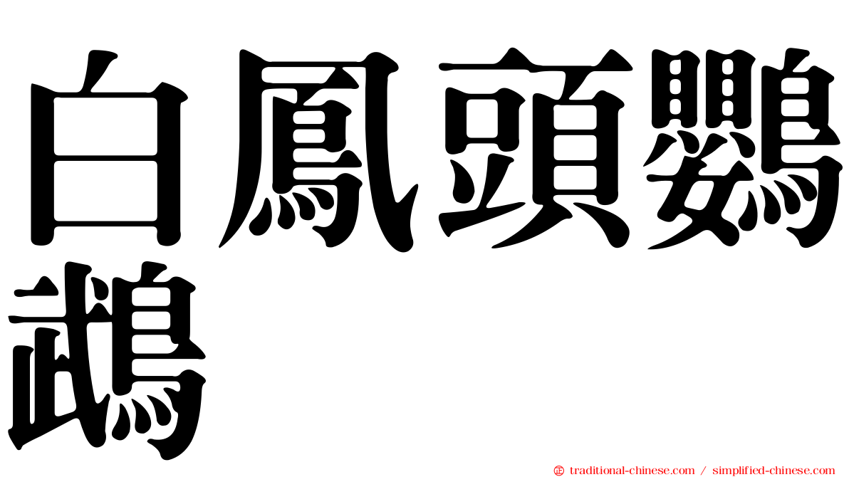 白鳳頭鸚鵡