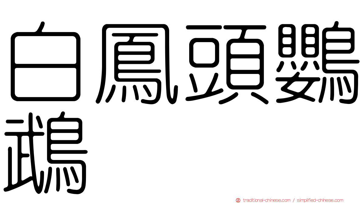 白鳳頭鸚鵡