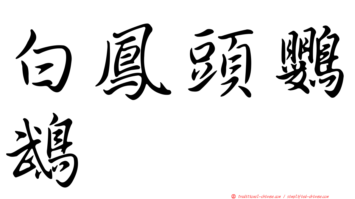 白鳳頭鸚鵡