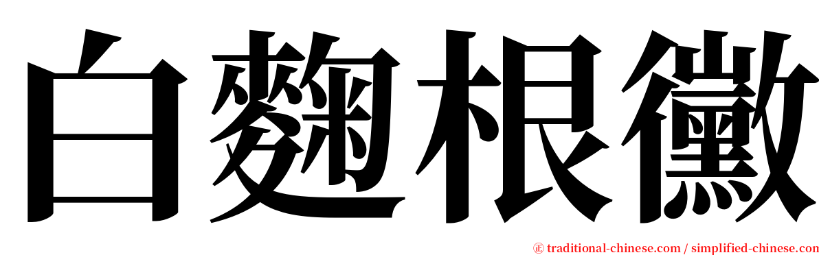 白麴根黴 serif font