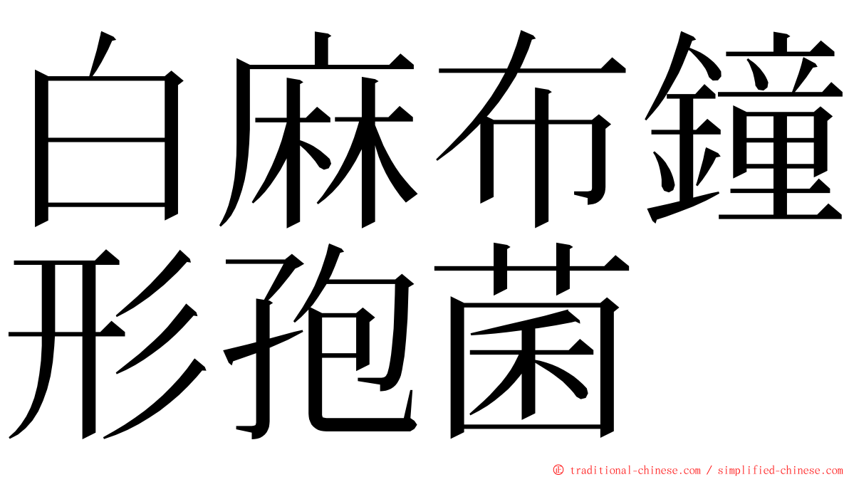 白麻布鐘形孢菌 ming font