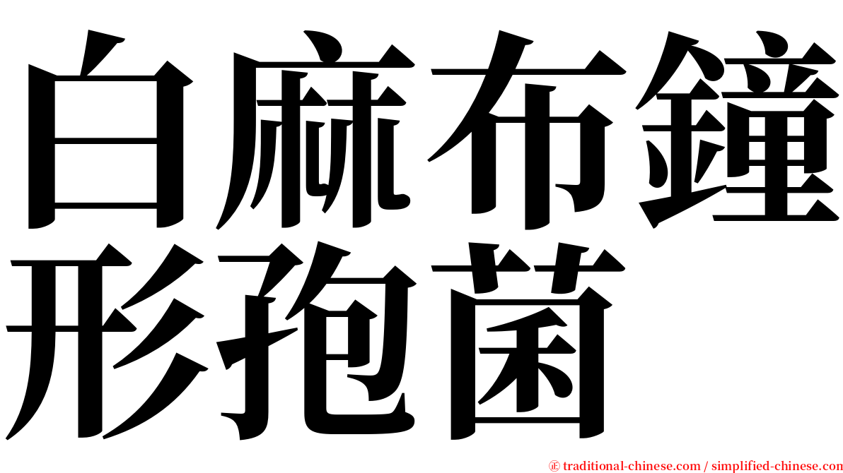 白麻布鐘形孢菌 serif font