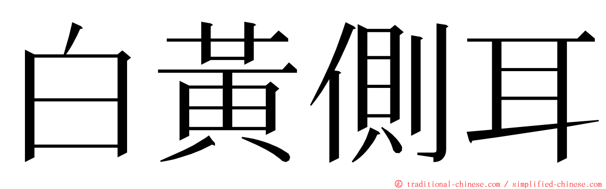 白黃側耳 ming font