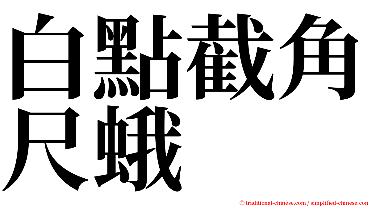 白點截角尺蛾 serif font