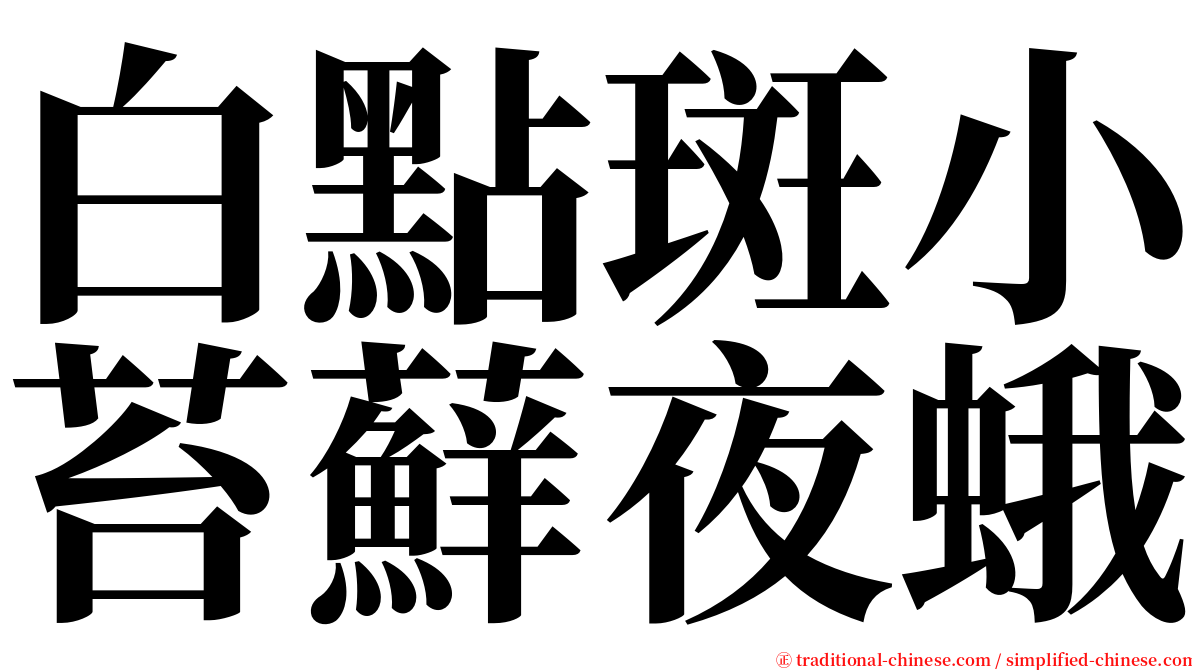 白點斑小苔蘚夜蛾 serif font