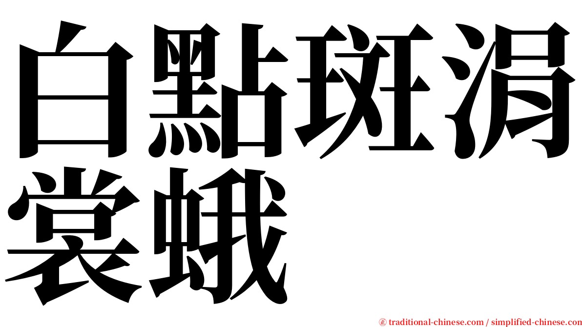 白點斑涓裳蛾 serif font