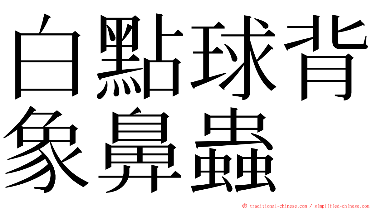 白點球背象鼻蟲 ming font