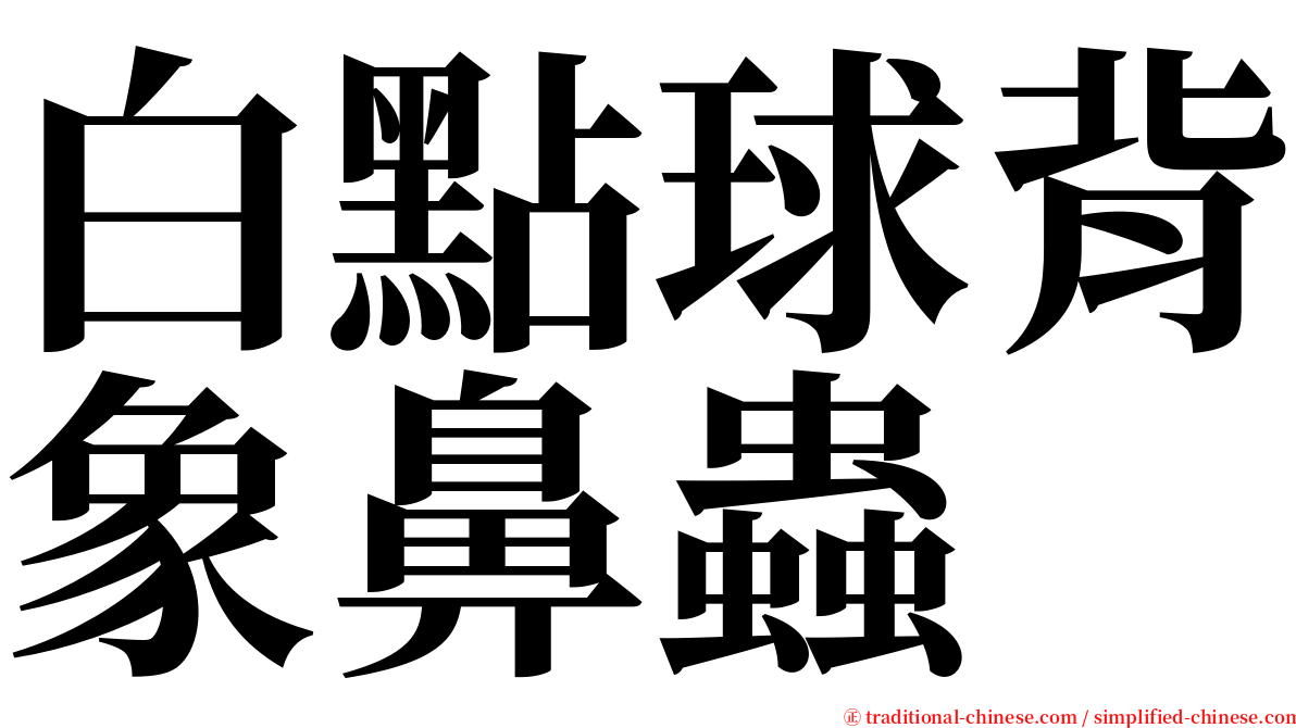 白點球背象鼻蟲 serif font