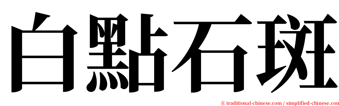 白點石斑 serif font