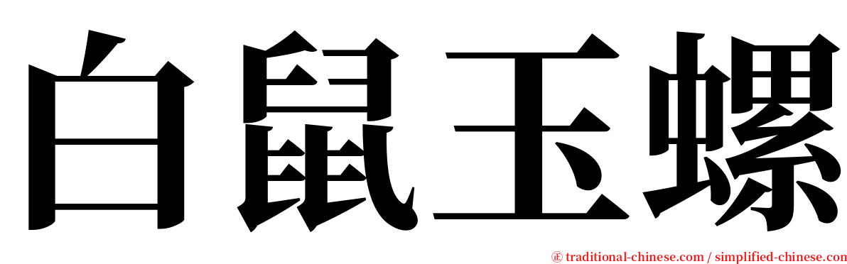 白鼠玉螺 serif font