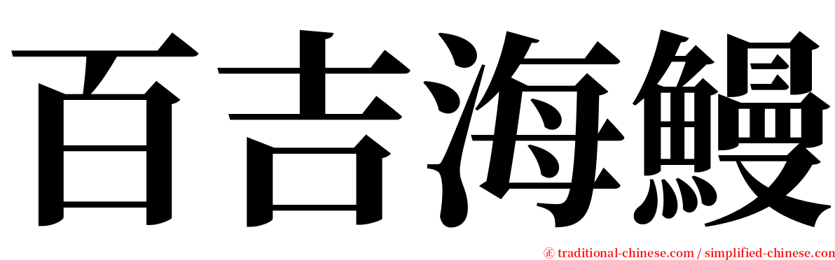 百吉海鰻 serif font