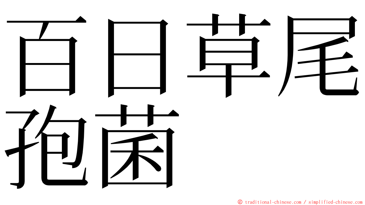 百日草尾孢菌 ming font