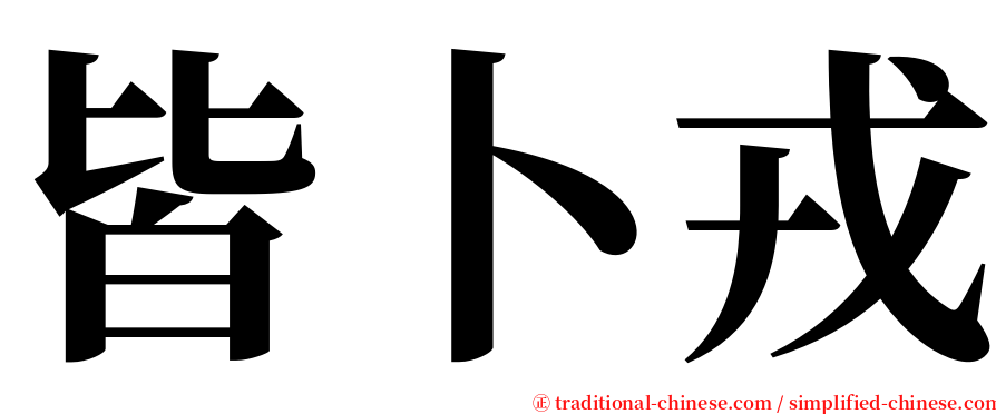 皆卜戎 serif font