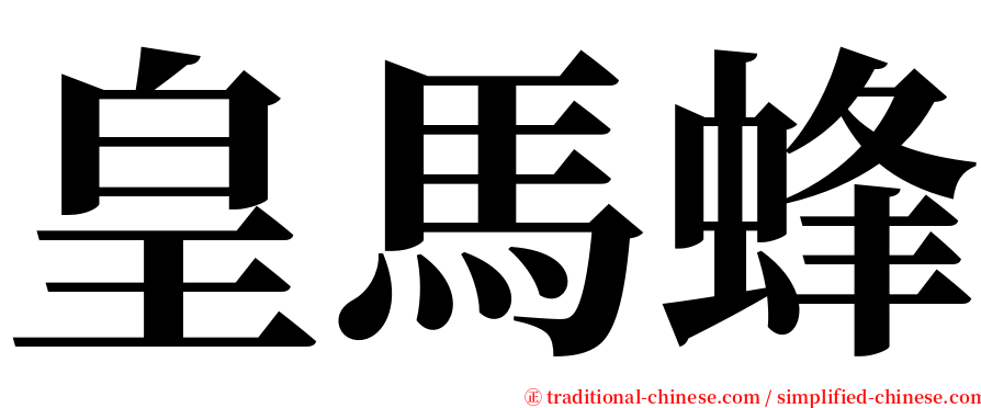 皇馬蜂 serif font