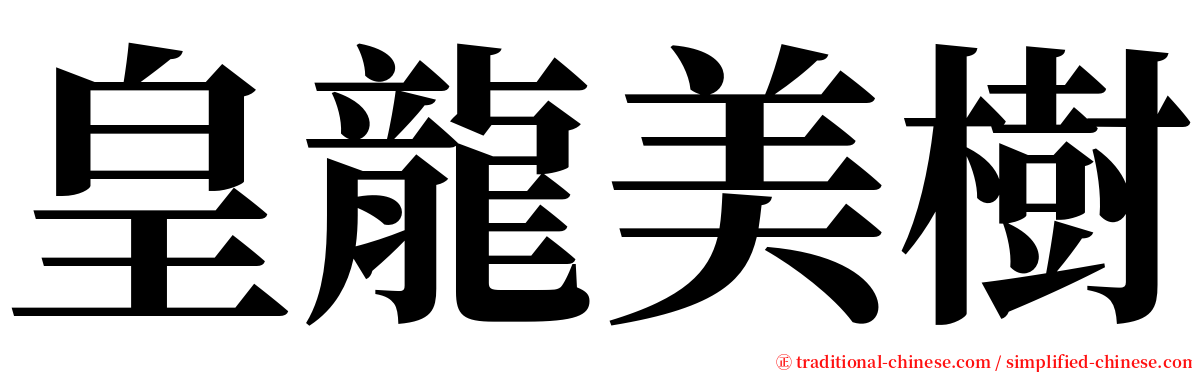 皇龍美樹 serif font