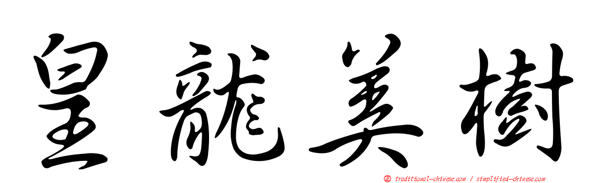皇龍美樹