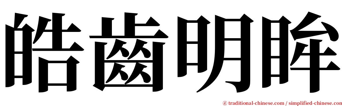 皓齒明眸 serif font