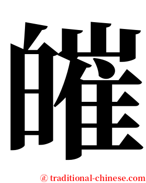 皠 serif font