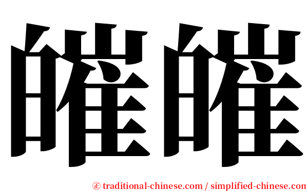 皠皠 serif font