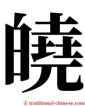 皢 serif font