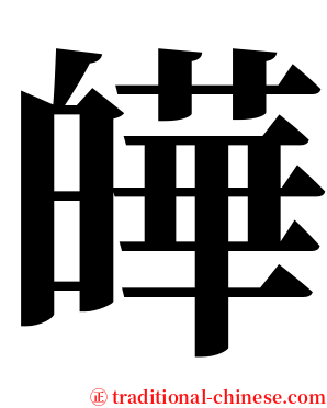 皣 serif font