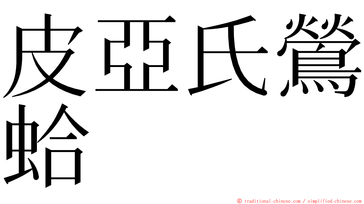 皮亞氏鶯蛤 ming font