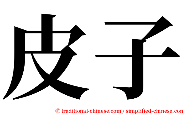 皮子 serif font