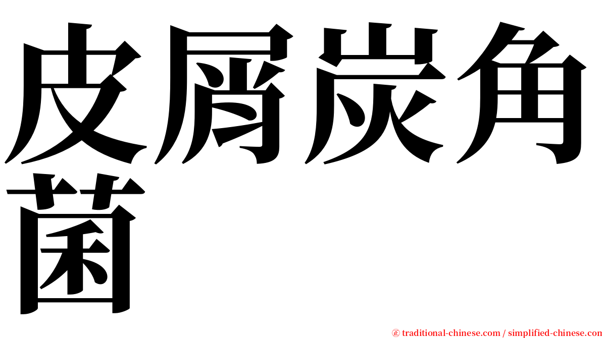 皮屑炭角菌 serif font