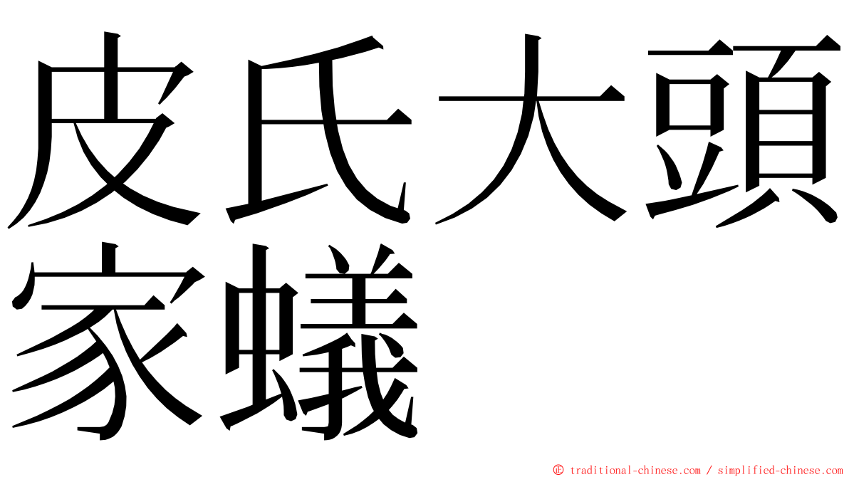 皮氏大頭家蟻 ming font